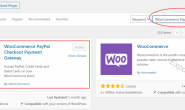 Woocommerce外贸独立站如何设置PayPal收款?